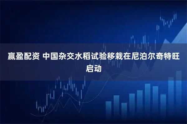 赢盈配资 中国杂交水稻试验移栽在尼泊尔奇特旺启动