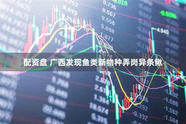 配资盘 广西发现鱼类新物种弄岗异条鳅