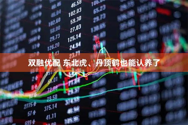 双融优配 东北虎、丹顶鹤也能认养了