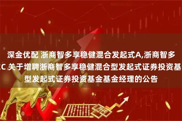 深金优配 浙商智多享稳健混合发起式A,浙商智多享稳健混合发起式C 关于增聘浙商智多享稳健混合型发起式证券投资基金基金经理的公告