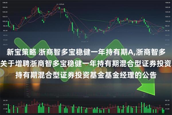新宝策略 浙商智多宝稳健一年持有期A,浙商智多宝稳健一年持有期C 关于增聘浙商智多宝稳健一年持有期混合型证券投资基金基金经理的公告