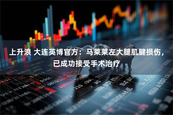 上升浪 大连英博官方：马莱莱左大腿肌腱损伤，已成功接受手术治疗